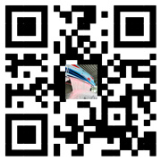 the qr code